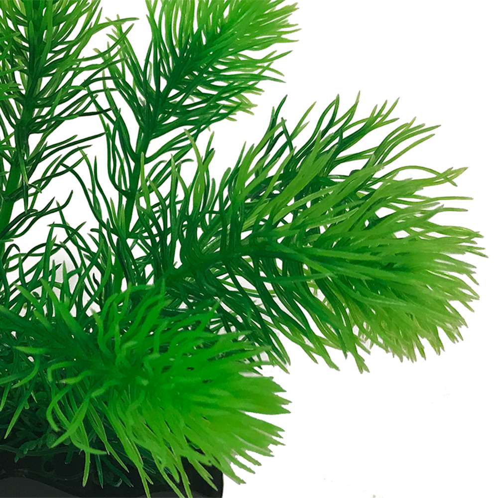 Penn-Plax eOrder | Large Watersprite Bunch Plant