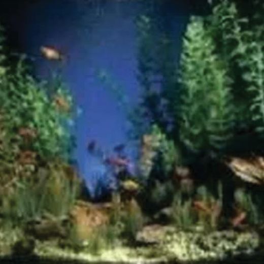 Picture of Aquarama / Shalescape - 12" x 50'